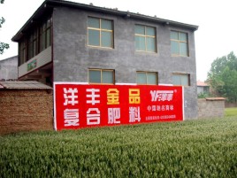 乾县如何让墙体广告展现最大化效果
