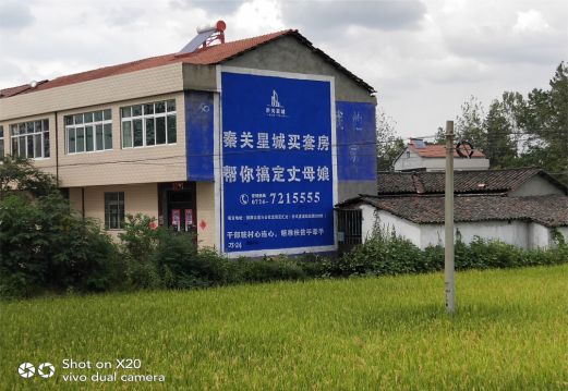 乾县决定墙体广告价格的因素有哪些?